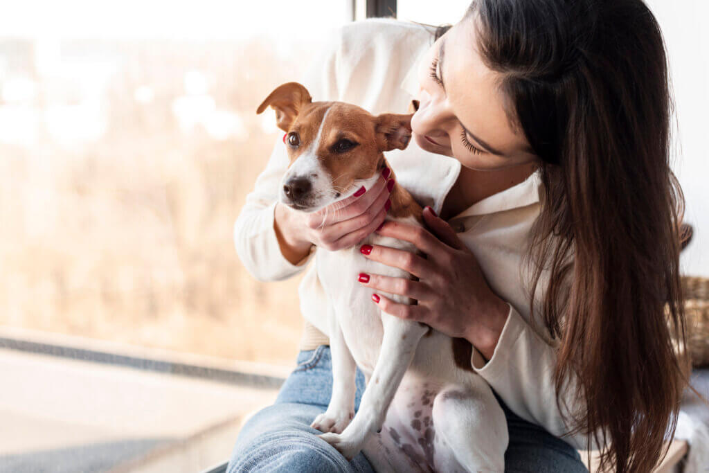 Adotou um pet? Conheça os primeiros cuidados a serem tomados!